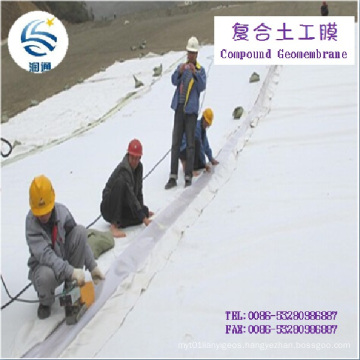 Complex Geomembrane Fabric